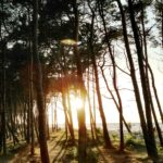 Plötzlich am Meer Festival in Polen: Ostsee in Sicht