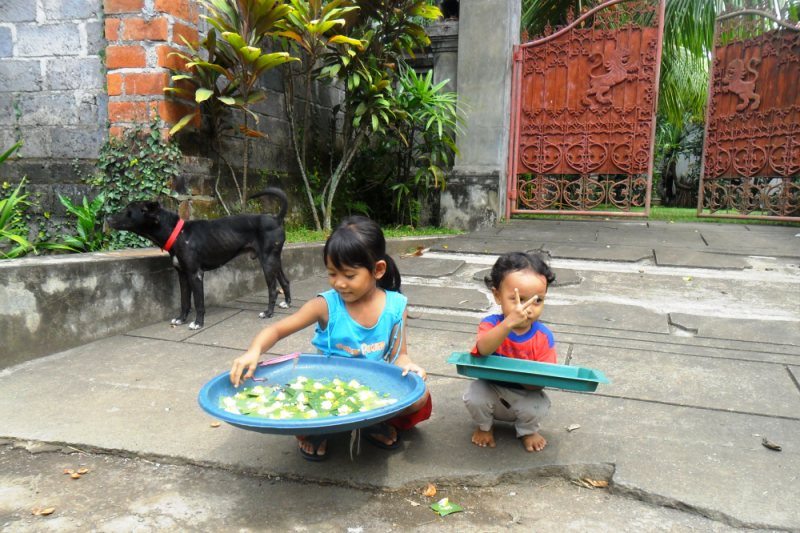Urlaub Bali: Auch Kinder bereiten auf Bali den Göttern und Dämonen Opfergaben