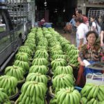Bangkok vorm Rückflug: auf dem Großmarkt Pak Klong Talad