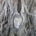 Der brühmte Buddhakopf im Wat Phra Mahathat