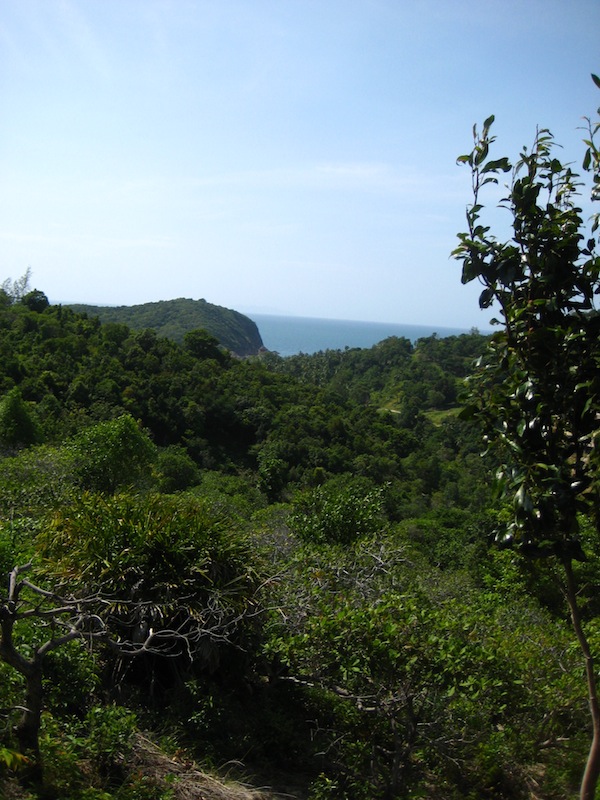 Die schönste Insel Thailands ist sehr grün