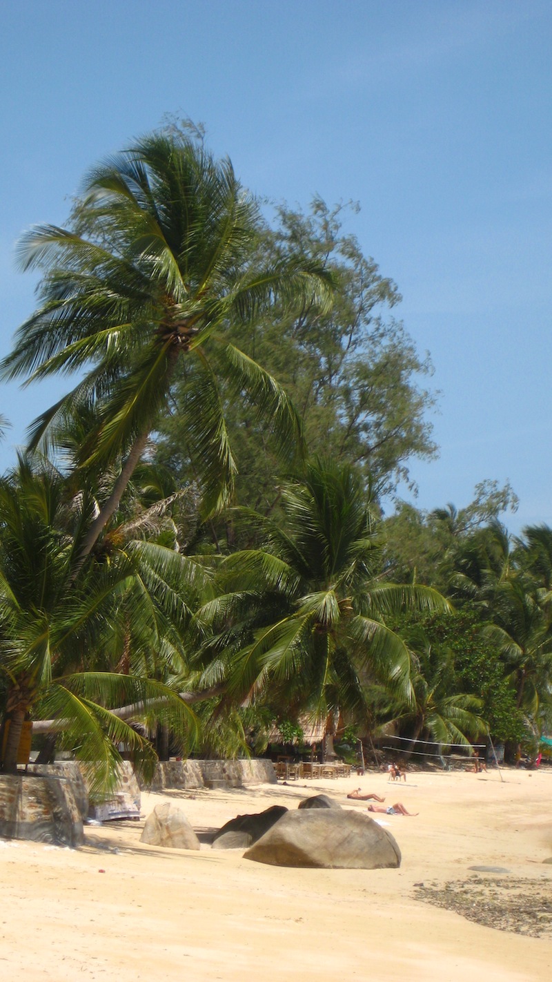 Palmen am Chao Pao Strand auf Kho Phangan