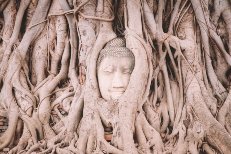 Thailand Ayutthaya Tipps Tempel