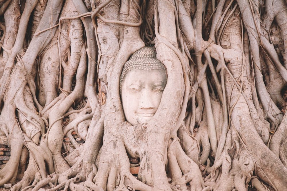 Thailand Ayutthaya Tipps Tempel
