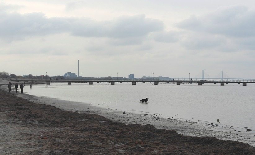 Öresund-Brücke in Malmö