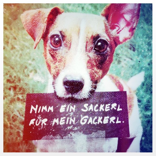 Hundekot-Schilder in Wien - Toll!