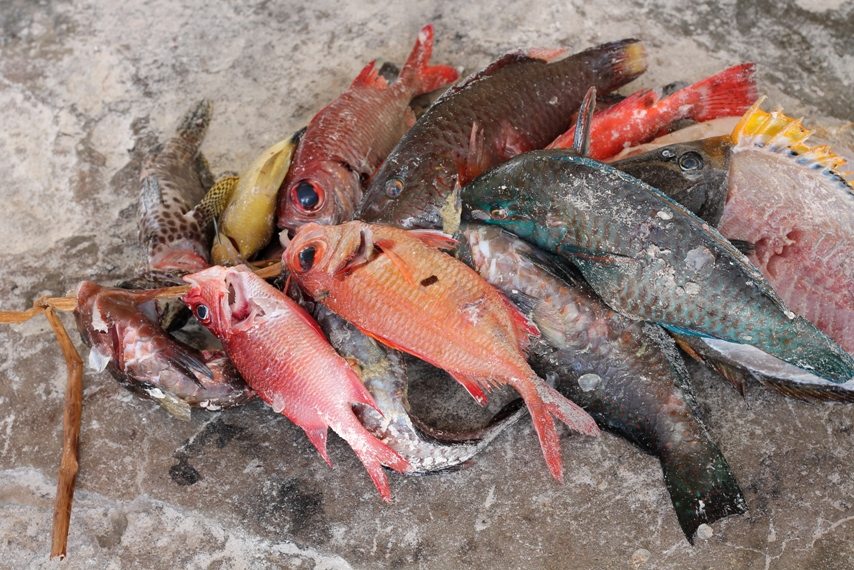 Fischmarkt Matemwe auf Sansibar Backpacking-Tipp
