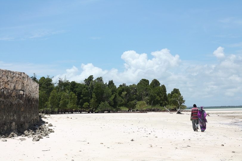 Spaziergang durch die Mangroven von Sansibar - Michamvi Kae - Backpacker-Tipp