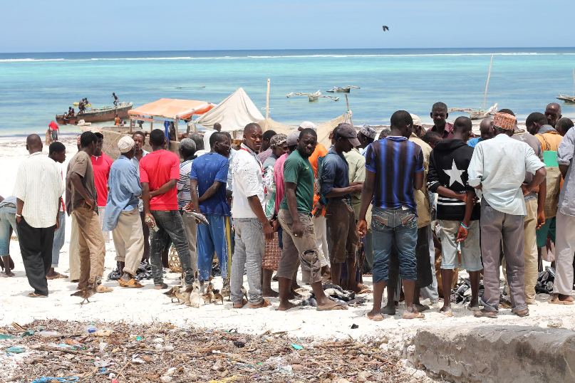 Sansibar Reisebericht: Tipp Fischmarkt in Matemwe