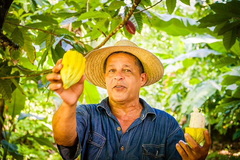 Kuba Highlights: Kakaoplantage Baracoa
