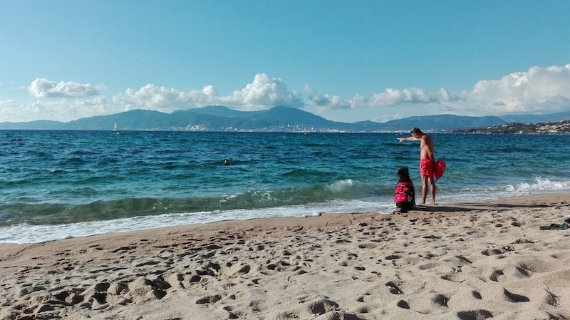 Rettungshund trainiert am Agosta Beach bei Porticcio an der Westkueste Korsikas