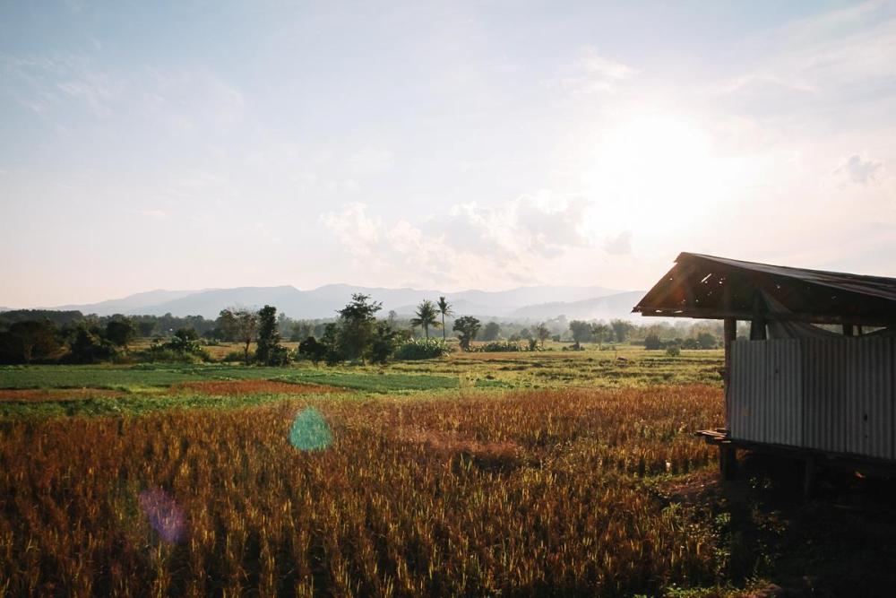 Chiang Dao in Thailand: Das Tal