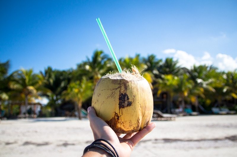 Tipp: Kokosnuss am Strand der Isla Holbox