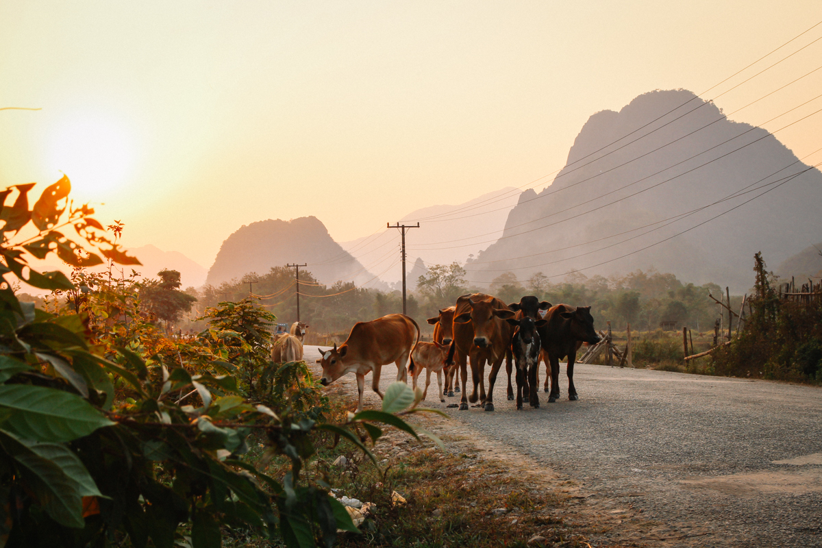 Weltreise Highlights - tolle Tage in Vang Vieng in Laos