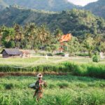 Reisfelder bei Amed - Tipp für die Bali Backpacking Route
