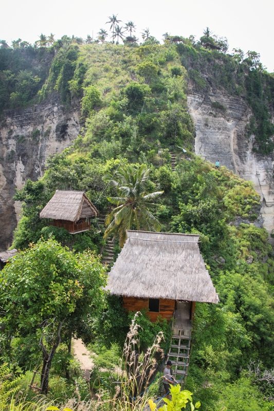 nusa penida bali rumah pohon baumhaus tipp FERNDURST