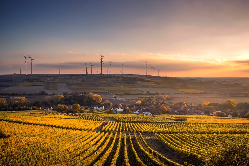 Grüne Zukunft und Klimaschutz mit erneuerbaren Energien und Vaillant
