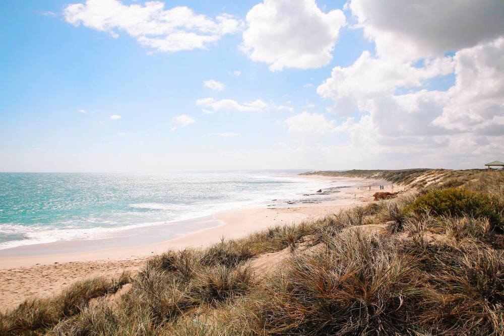 Westaustralien Route für einen Roadtrip - der Strand von Kalbarri im Norden