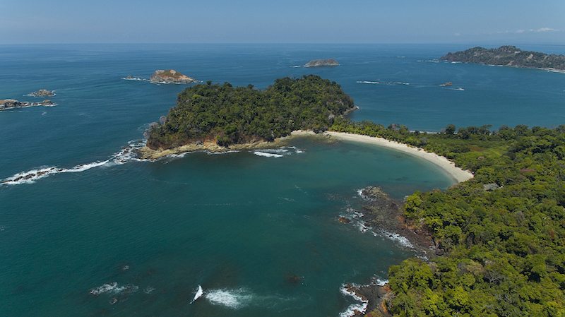 Costa Rica Emfehlung für den Süden: Nationalpark Manuel Antonio