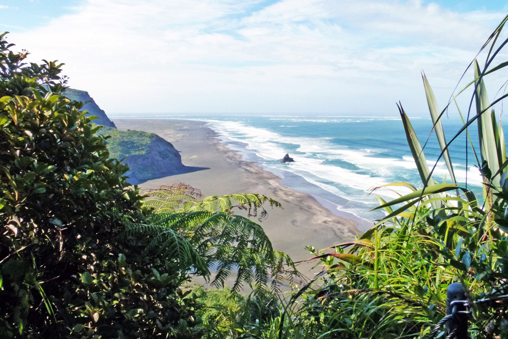 Neuseeland Rundreise 4 Wochen - Waitakere Ranges ein Highlight