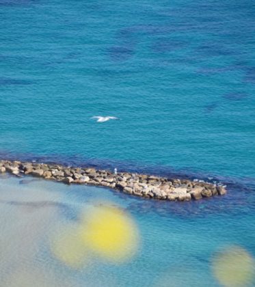 Costa Blanca Tipps: Aussicht auf den Strand del Postiguet von Alicante von der Santa Barbara Burg