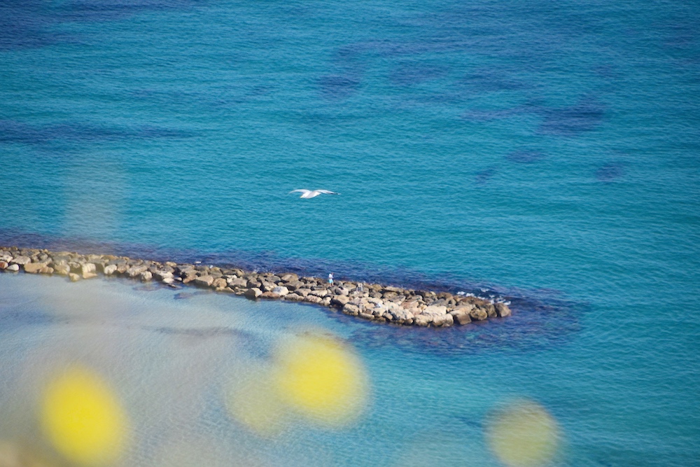 Costa Blanca Tipps: Aussicht auf den Strand del Postiguet von Alicante von der Santa Barbara Burg