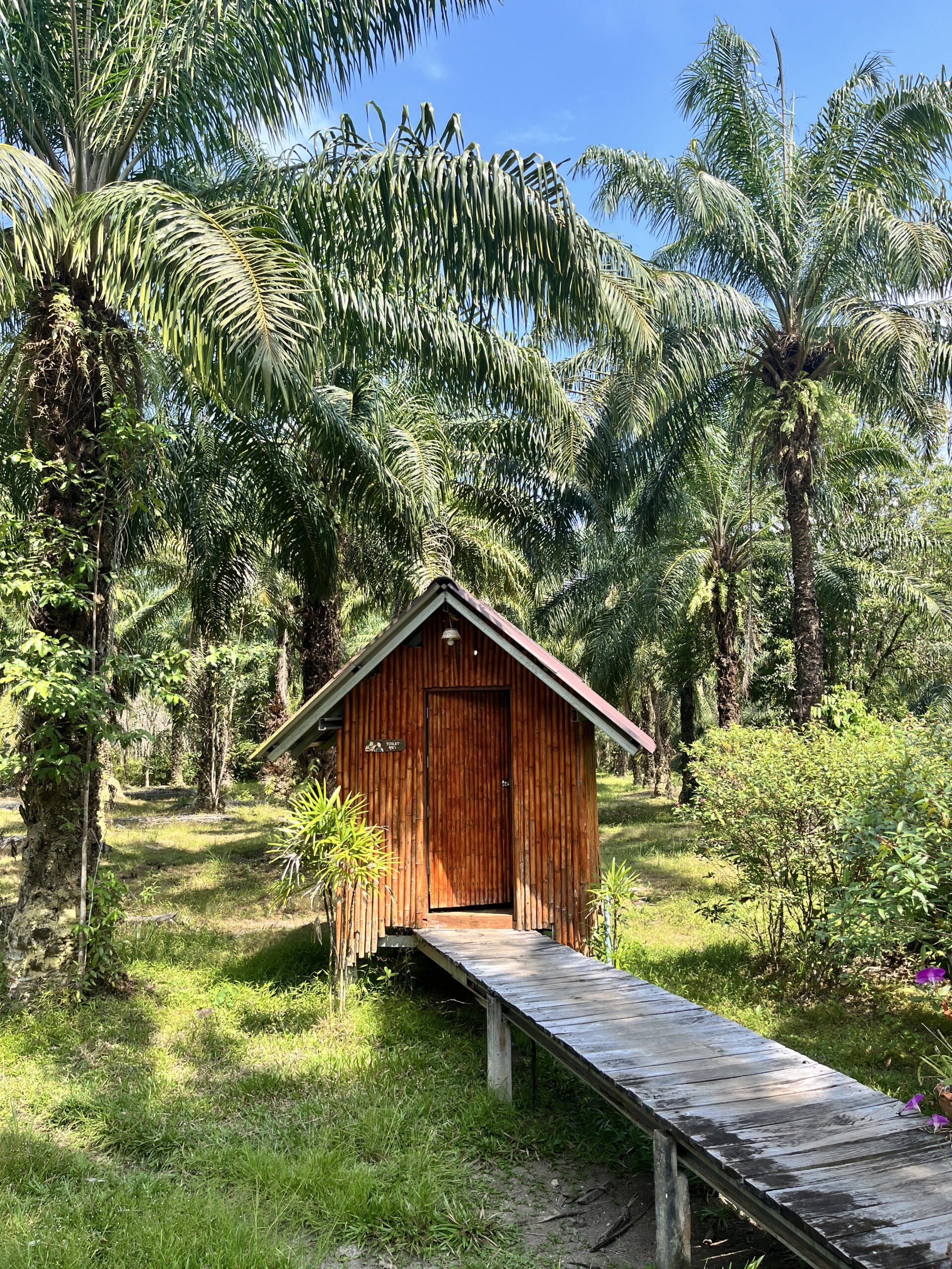 Regis Homestay Krabi Unterkunft Thailand