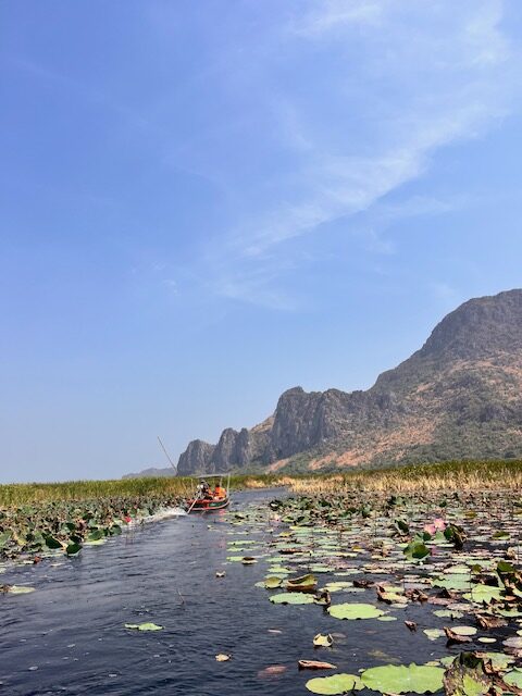 Lotusblütensee Sam Roi Yot Thailand